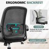 Office Chair Ergonomic Desk Chairs with Lumbar Comfort Breathable 4'',  WR189