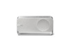 Bose SoundLink Home Bluetooth Speaker - Light Silver