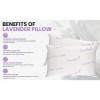 LUXURY HOME COLLECTION LAVENDER INFUSED SLEEPING PILLOW (SET OF 2) QUEEN - WHITE New