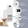 AUTOFEEDOG DOUBLE-FLAP PET DOOR WALL DOOR WITH CLOSING PANEL LOCK SMALL - WHITE