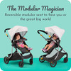 Century™ Swap On™ Modular Stroller 2164605 - Splash