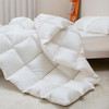 BEVINK Feather Down Comforter Queen/Full Size Solid White All Seasons New