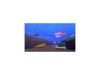Minecraft + Minecoins Bundle - For Xbox Series X and Xbox One - Rated E10+