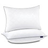 No Specifications WL-PL-BS007-S2 2 Pack Queen Pillows Set, White