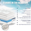 Deep Sleep Queen Mattress 10 Inch in a Box, Cloud Euro Top Soft Hybrid Mattress