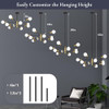 BESLOWE 10-LIGHT MODERN SPUTNIK CHANDELIER, JP2034.10BKGD - BLACK & GOLD