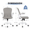 Winrise Office Chair Desk Chair Ergonomic Mesh Computer Chair WR935 - Gray
