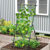 COSTWAY 75 IN. METAL GARDEN CUCUMBER TRELLIS FOR PLANT CLIMBING - BLACK/GREEN