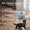 IPETTIE RUNWAY BATTERY CORDLESS CAT WATER FOUNTAIN - GRAY