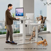 SWEETCRISPY ELECTRIC STANDING DESK 55 X 24IN ADJUSTABLE HEIGHT - WHITE SWEETCRISPY ELECTRIC STANDING DESK 55 X 24IN ADJUSTABLE HEIGHT - WHITE