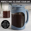 Primula Burke Deluxe Cold Brew Iced Coffee Maker, 1.6 QT/ 6 Cups PBPBL-5101