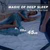 FLEXPEDIC DEEP SLEEP QUEEN MATTRESS 10 INCH IN A BOX CLOUD MATTRESS P2203323 New