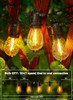 Brightown Outdoor String Lights 35FT with 10 Edison Bulbs - Black
