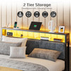 OLEVS QUEEN BED FRAME METAL PLATFORM BEDQUEEN 2-TIER STORAGE LED LIGHT - BLACK