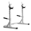 WEIDER GYM SQUAT RACK, 32.5"D x 49.5"W x 63"H - PLATINUM WEIDER GYM SQUAT RACK, 32.5"D x 49.5"W x 63"H - PLATINUM