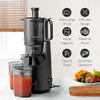 Elite Gourmet EJX320 Big Mouth Whole Fruit 5.2” Self-Feeding Chute, Cold Press