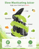 ECOSELF JUICER MACHINES 4.35" LARGE FEED CHUTE HANDS FREE COLD PRESS - BLACK