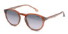 CARRERA 277/S STYLISH SUNGLASSES FRAME A SNAZZY 50MM - 009Q 9O BROWN/GRAY SHADED