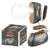SALAV Retro Edition Duopress Handheld Garment Steamer and Iron, IS-900-TITANIUM