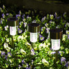 SOLPEX 12 Pack Solar Outdoor Lights Pathway, Stainless Steel Solar Lights SOLPEX 12 Pack Solar Outdoor Lights Pathway, Stainless Steel Solar Lights
