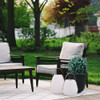 BOTARO TRESIL Set of 2 - Pre-Potted 24" High Ball Shaped Boxwood Topiary- 16" BOTARO TRESIL Set of 2 - Pre-Potted 24" High Ball Shaped Boxwood Topiary- 16"