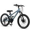 GLERC SKYLINE 20 INCH KIDS MOUNTAIN BIKE 21-SPEED KID BICYCLE - BLUE