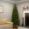 NATIONAL TREE COMPANY ARTIFICIAL SLIM TREE KINGSWOOD FIR 7.5 FEET KW7-500-75