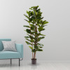 PURE GARDEN ARTIFICIAL FIDDLE LEAF FIG TREE, 72”, 50-LG1119 - GREEN