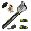 Steelite Leaf Blower Cordless with 2 Battery and Charger 20V Electric - Green