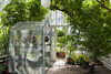 HOME-COMPLETE GREENHOUSE - WALK-IN GREENHOUSE - 8 STURDY SHELVES - HC-4202-IMP HOME-COMPLETE GREENHOUSE - WALK-IN GREENHOUSE - 8 STURDY SHELVES - HC-4202-IMP