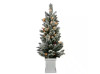 ASTELLA 4FT PRE-LIT FLOCKED ARTIFICIAL CHRISTMAS TREE, 50-LIGHTS