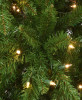NATIONAL TREE COMPANY 7.5' PEYTON SPRUCE TREE WITH CLEAR LIGHTS - GREEN New