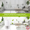 ARM & HAMMER AH301W HEPA AIR PURIFIER FOR HOME OFFICE DESKTOP - PEARL WHITE