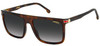 CARRERA MEN'S MODERN SUNGLASSES - DARK HAVANA/DARK GRAY SHADED - BLACK