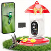 VISTAFLEDGE 2K HUMMINGBIRD FEEDER CAMERA OUTDOOR - AI IDENTIFY - RED