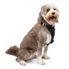 KURGO ENHANCED STRENGTH TRU-FIT DOG HARNESS X-LARGE - BLACK New