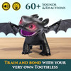 Spin Master How To Train Your Dragon Tame & Train Toothless - 6072728 - Black New