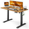 Marsail Electric Standing Desk with Sedentary Reminder, 48 * 24 Inch