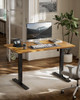 Marsail Electric Standing Desk with Sedentary Reminder, 48 * 24 Inch
