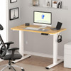 FLEXISPOT EN1 ONE-PIECE STANDING DESK 48"X24" SEAMLESS DESKTOP - MAPLE