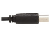 Tripp Lite P783-010-U KVM Cable