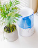 CRANE INHALER & WARM MIST HUMIDIFIER, 0.5 GALLON, BLUE & WHITE New
