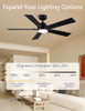 Modern Ceiling Fans with Lights - 52" Black Outdoor Ceiling Fan with Light