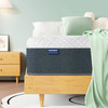 HOXURY MATTRESS 10" GREEN TEA MEMORY FOAM MEDIUM FIRM FULL SIZE HS-HMZC10FU New