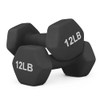 MADOG DUMBBELL HAND WEIGHTS ANTI-ROLL NON-SLIP HEXAGON SHAPED 12LB 2PCS - BLACK