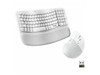 Logitech Wave Keys & Lift Vertical Mouse Ergonomic Wireless Keyboard and Mouse