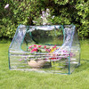 Sunnydaze Outdoor Portable Mini Greenhouse Tent - Clear - 4' x 3'