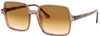 RAY-BAN RB1973 SUNGLASSES BUNDLETRANSPARENT LIGHT BROWN RB 1973 128151