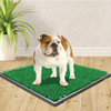 FOUR PAWS WEE-WEE PREMIUM PATCH POTTY DOG POTTY TRAINING ARTIFICIAL GRASS- GREEN New