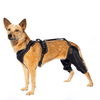 WAG WIZE DUAL-LEG KNEE BRACE HARNESS FOR DOGS - LARGE - BLACK